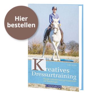 Kreatives Dressurtraining Buch